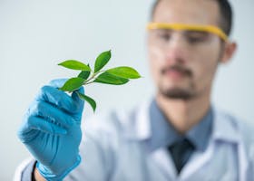 Young scientist wearing protective gloves and examining a plant sample in a laboratory setting.