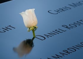 White rose placed on reflective 9/11 memorial, honoring the fallen.